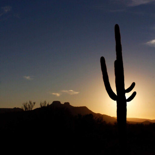 Gila Valley, Graham County